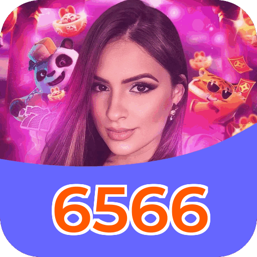 6566 Platform
