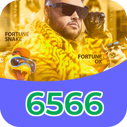 6566